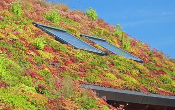 Westdean living roof systems