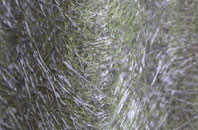 Westdean fibreglass roof work